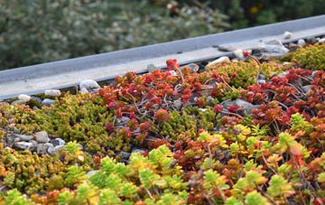 the cost of Little Wood Corner green roof installation