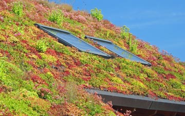 Little Wood Corner living roof systems